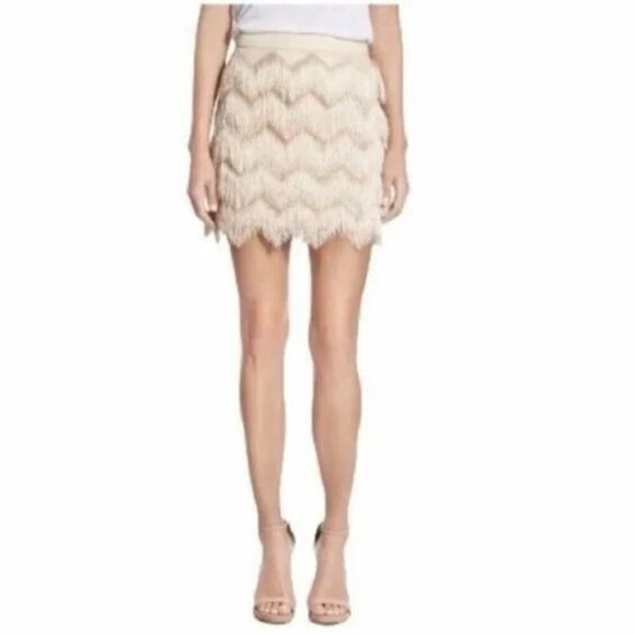Ella Moss Champagne Fringe Mini Skirt Size 2 NWT $158 MSRP Flapper Party Skirt - Picture 5 of 13